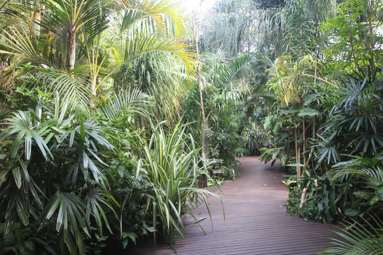 Forest Lodge Saint Lucia Estuary Exterior foto