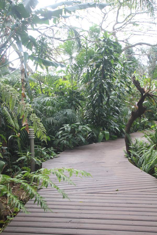 Forest Lodge Saint Lucia Estuary Exterior foto