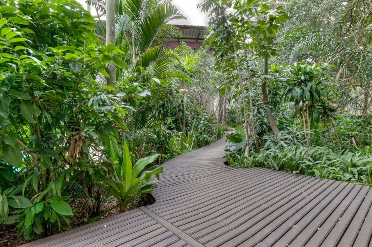 Forest Lodge Saint Lucia Estuary Exterior foto